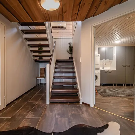 Levin Taiga 18a By Aavalevi Levi