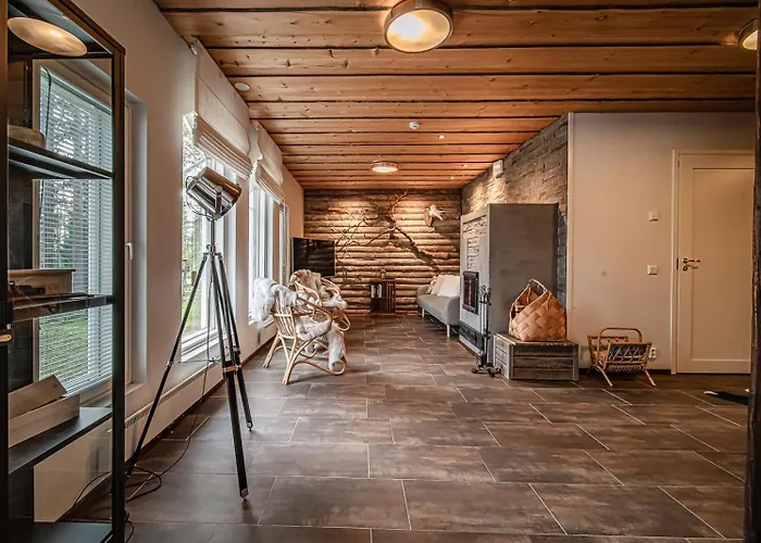 Levin Taiga 18a By Aavalevi 列维